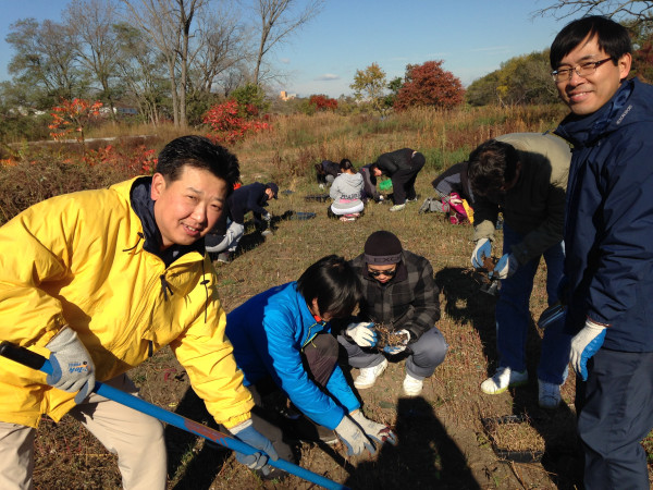 [Volunteer] Tree Planting